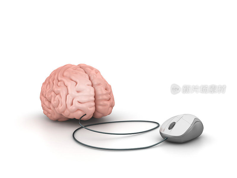 电脑鼠标大脑- 3D渲染